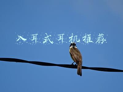 入耳式耳机推荐