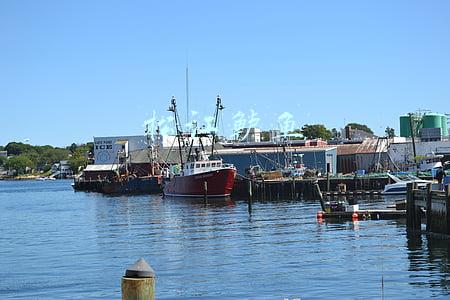 松江鲈鱼图片(松江鲈的“原罪”：一度濒危20年，如今被炒到上千元？)