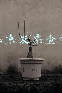 北京普通发票查询真伪查询系统(北京房山区发票真伪查询攻略)