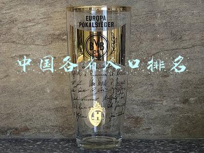 中国各省人口排名2019(中国113个人口超过100万的城市)