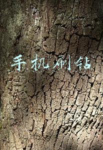 刷钻教程吧(天天酷跑天空之城刷钻技巧 50秒卡时间教程)