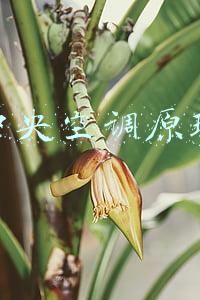 中央空调工作原理图解(中央空调系统原理图解)