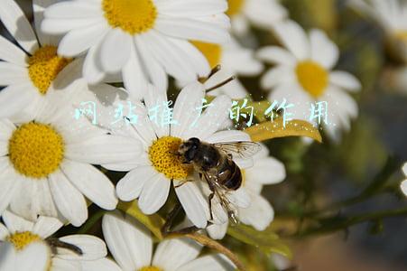 网站推广是什么(网络推广是什么浅析网站内的链接优化技巧有哪些？)