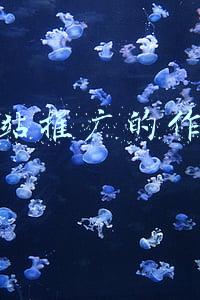 网站推广的作用