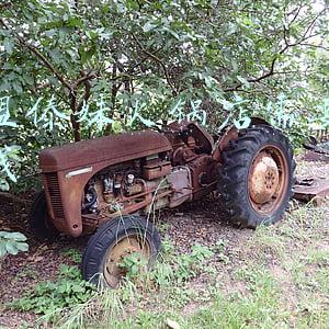 傣妹火锅人均消费多少(傣妹火锅人均消费多少钱一位)