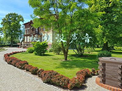 视频没声音