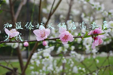 傣妹休闲时尚火锅骐利广场店_傣妹休闲时尚火锅