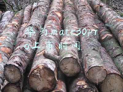 华为mate30pro上市时间及价格 参数(狠心花3299买了款华为Mate30 Pro，重度体验半天后：赚到了)