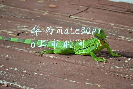 华为mate30上市时间(从2999元跌至1381元，麒麟980+鸿蒙系统+四摄)