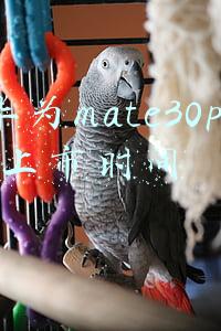 华为mate30pro上市时间是什么时候(摩托罗拉Edge 30 Pro官宣，2月24日正式发布)