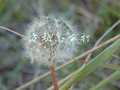方块怎么打