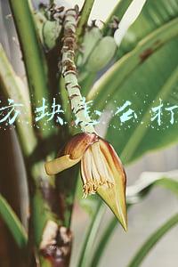 wps方块怎么打(WPS中如何加入鼠标一点就打钩的方框)