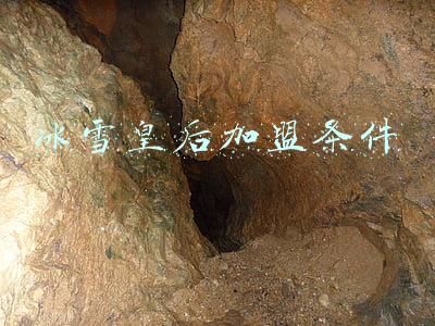 冰雪皇后加盟条件