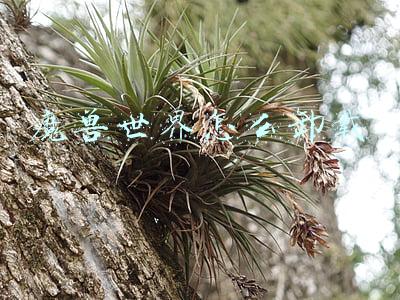 魔兽世界怎么卸载