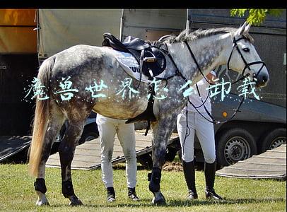 魔兽世界怎么卸载正式服(韩国游戏在Steam火了，力压G胖两大游戏登顶！中国玩家只能翻墙玩)