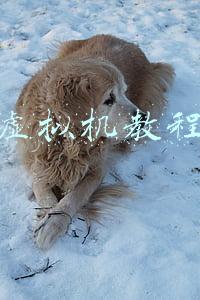 虚拟机教程