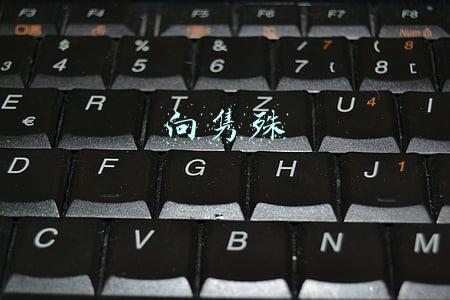 向隽殊个人简历(“金顺姬”成永远的记忆：配音大师向隽殊逝世，享年91岁)