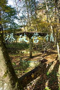 爆破营销