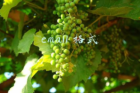 email格式怎么填(求职简历应该怎么填写受HR喜爱？HR喜欢邮箱格式应该怎么写？)