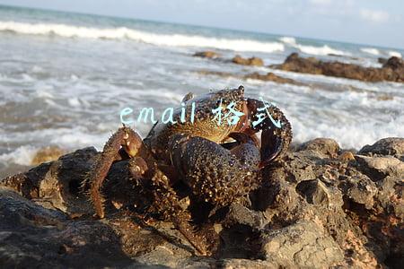 email格式错误怎么回事(健康码变橙怎么办？有异议如何申诉？刚刚，富阳最新发布)