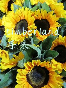 timberland手表