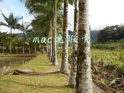 mac遮瑕膏色号选择(5款热门“遮瑕盘”测评：Mac遮瑕力优秀，茵芙莎滋润又持久)