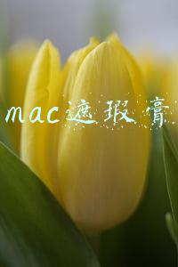 mac遮瑕膏