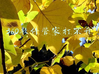 电脑上的360软件管家打不开(近八成消费者遇到网络弹窗，360安全浏览器、暴风影音、腾讯视频等被点名)