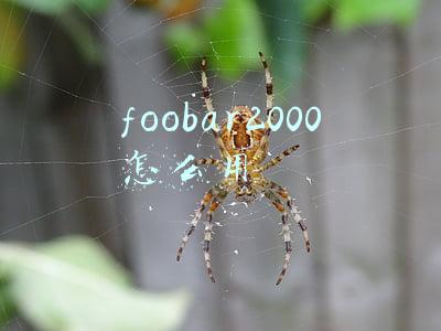 foobar2000怎么用