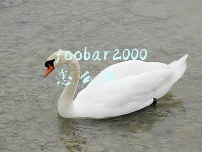 foobar2000怎么用64插件(foobar2000音乐播放软件，源码输出信号给家庭功放机解码直通教程)