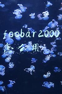 foobar2000怎么用asio(E-MU 数字音频系统ASIO录音使用教程  [农步祥])