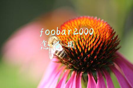 foobar2000(Foobar等发烧播放器音质更好？谈播放软件的玄学)