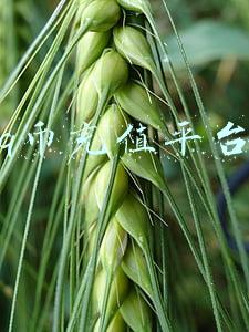q币充值平台有哪些(「警惕」10月7日这些互联网项目“投资”平台有风险)