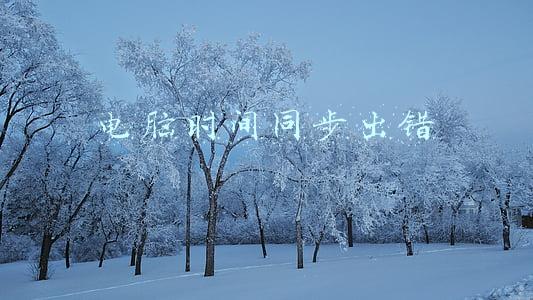 电脑时间同步出错