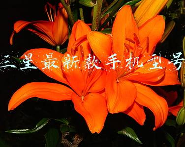 三星最新款手机型号