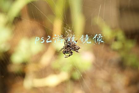 ps2游戏镜像修改(《记录》第15期：DUMP三十年（上）)