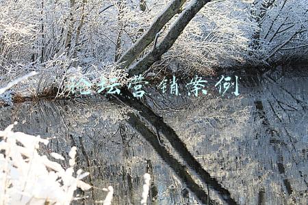 论坛营销案例