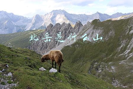 北岳是什么山所在地在哪儿(原本位于河北保定的北岳恒山，为啥在清朝，“转移”到了山西？)