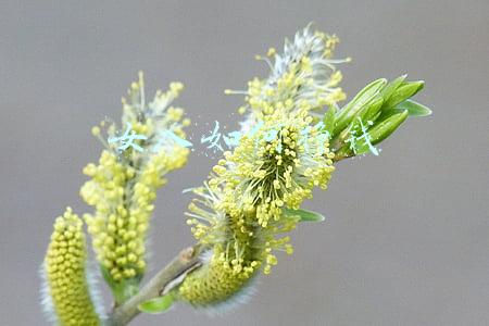 女人如何挣钱存钱(一个女人最聪明的活法就是：努力赚钱+存钱)