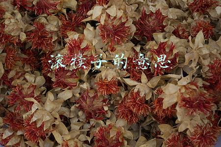 滚犊子的意思