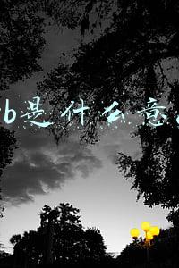 tvb是什么意思
