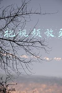 怎么把视频放到ipad