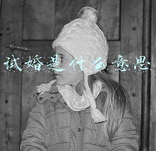 试婚是什么意思