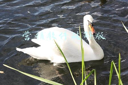 营销软件破解版