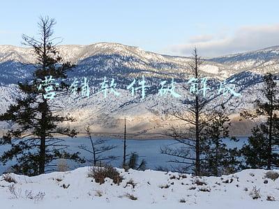 下载营销助手(语音江湖第99期：AI销售助手「循环智能」完成3800万美元融资)