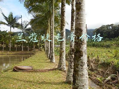 兰蔻睫毛膏套装(好嗨喔！看完16款睫毛膏种草感觉自己到达了巅峰！)