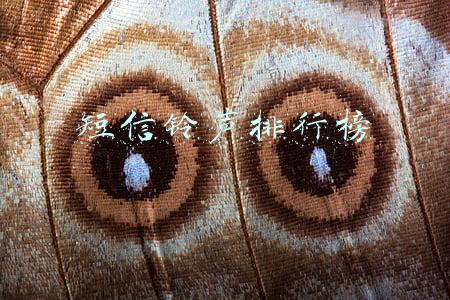 短信铃声排行榜