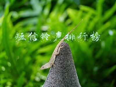 短信铃声2秒(iPhone手机制作铃声无需电脑无广告｜苹果自制电话铃声教程)