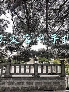 索爱官网手机