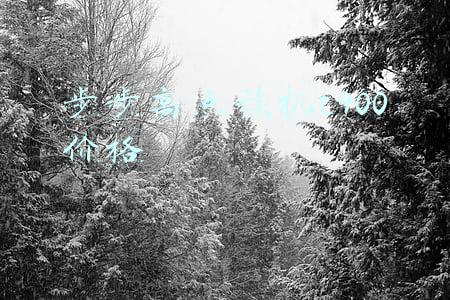 步步高点读机t900价格